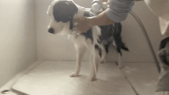 ムラなく洗える